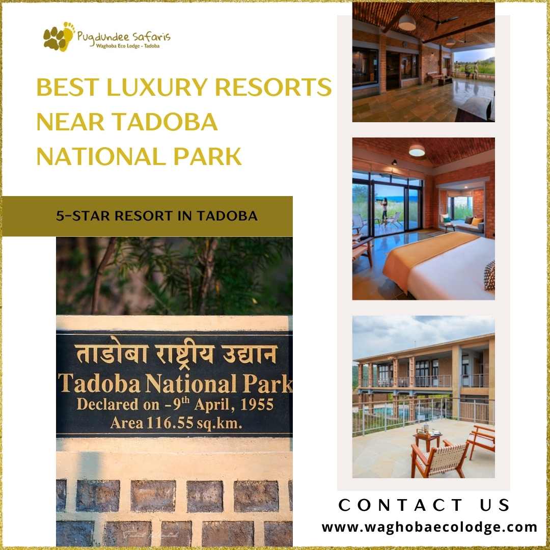 Best Luxury Resorts Near Tadoba National Park